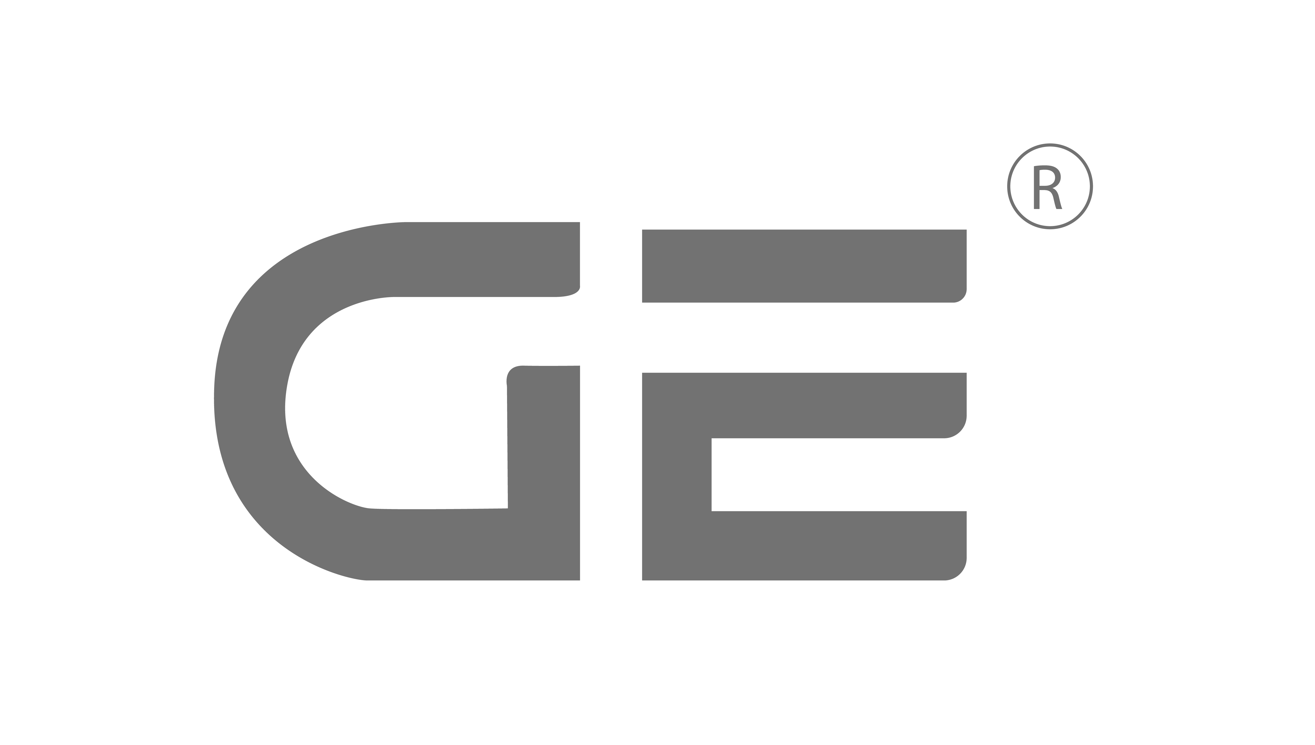 GE India Inc